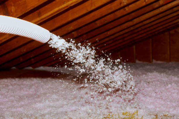 Best Energy Efficiency Insulation in Marienville, PA
